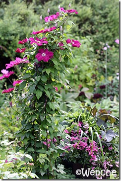 IMG_5820 IMG_5820