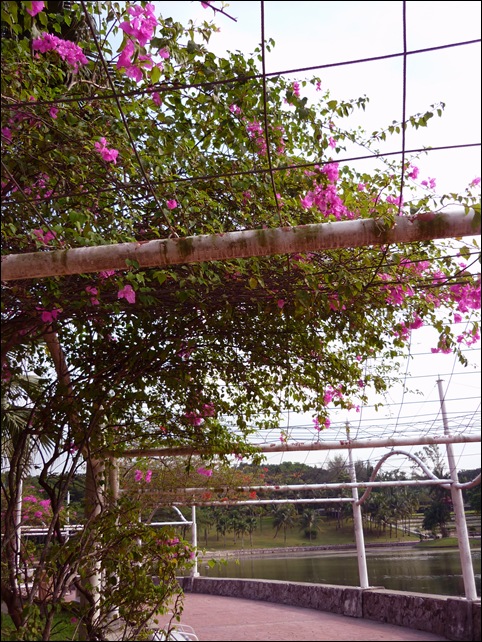 P1030364[2]