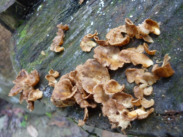 [P10405464.jpg]