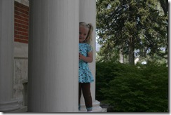 IMG_2731 IMG_2731