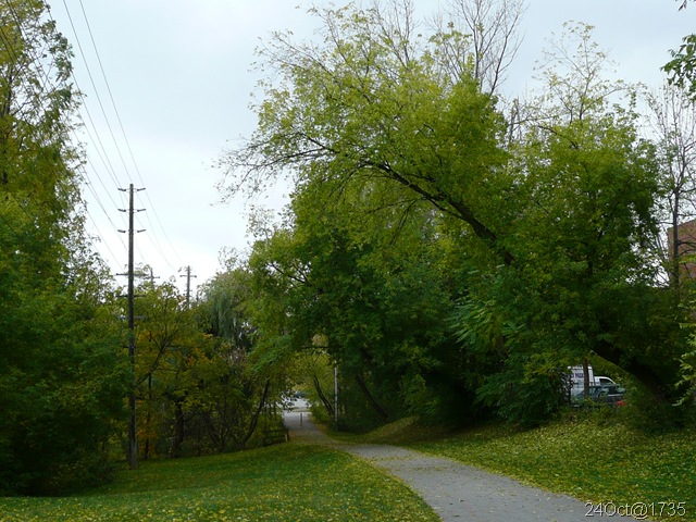 [bikepath[5].jpg]