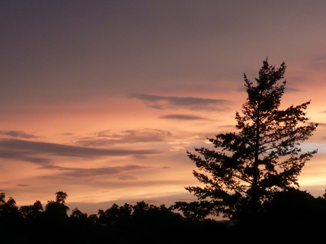 [sunset[2].jpg]