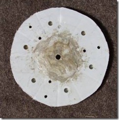clip_image006