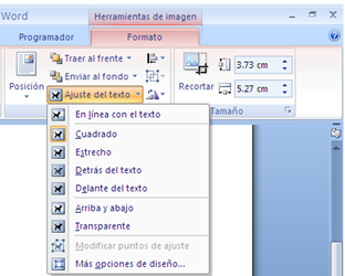 Ajustes del Texto - Microsoft Word