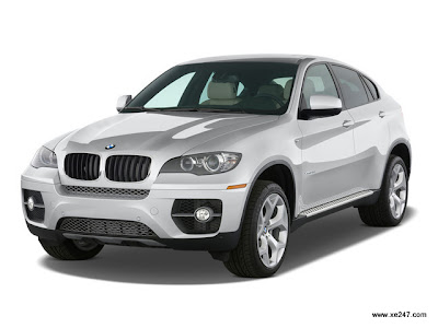 bmw x6 xdrive50i 2009 01 2009 BMW X6 xDrive50i