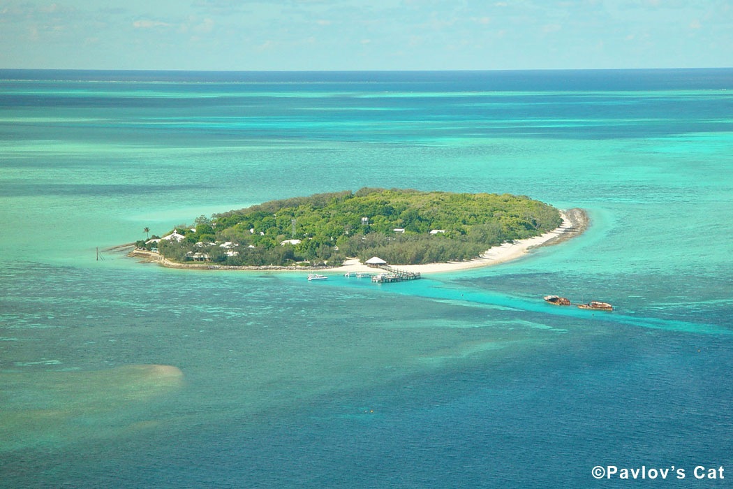 [heron_island_1[4].jpg]
