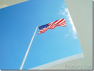 arizona_2