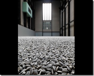 seeds