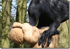 crow_1