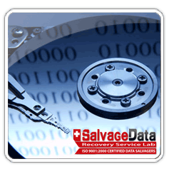 [salvage-data-recovery[5].png]