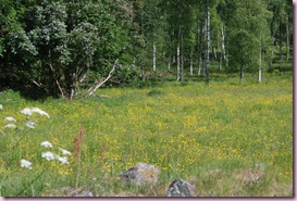 DSC_0812 DSC_0812