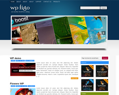 WP Figo