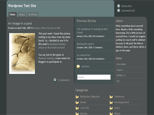 Dark Business Theme
