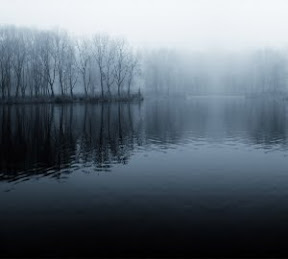 Fog 10 Free Wordpress Theme