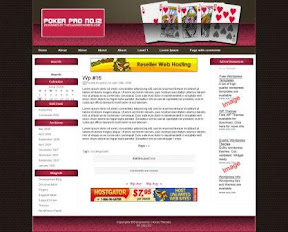 Poker Pro 13