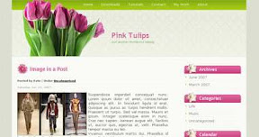 Pink Tulips