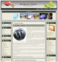 Free Wordpress Tennis Theme