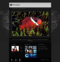 Photoblog Wordpress Theme