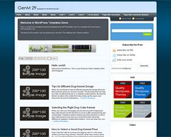 GenM 29 (v1.1)