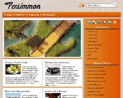 Persimmon