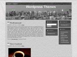 NYC City Professional