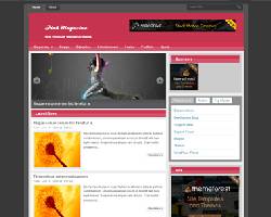 Pinky Wordpress Theme  