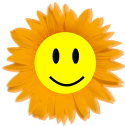 Tournesol Tournesol