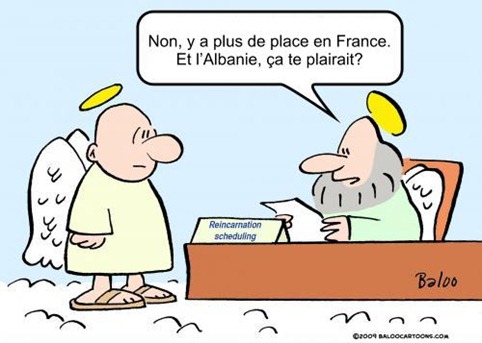 réincarnation réincarnation