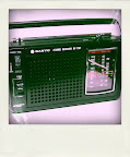 Capture_00005-pola.jpg