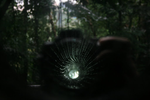 Strilles de l'intérieur du canon