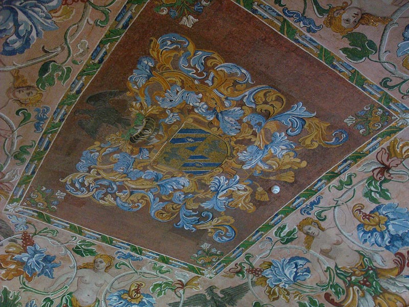 DSC07528_1.jpg