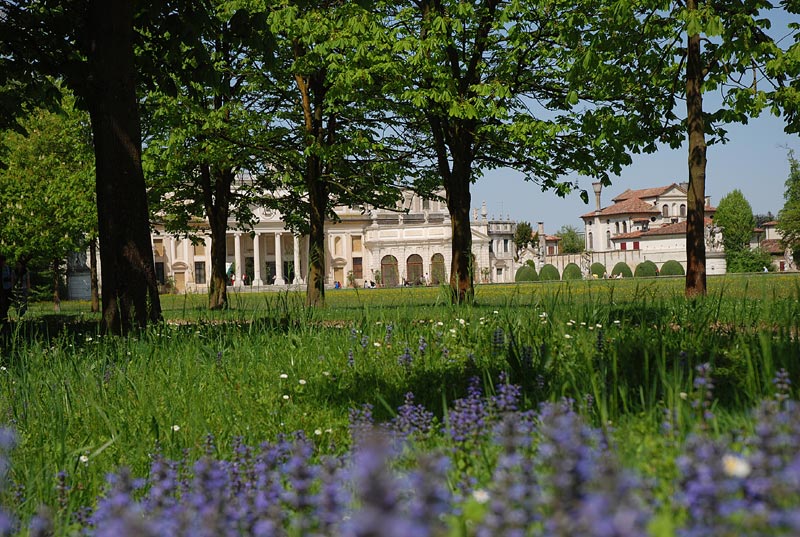V_P_Giardino_61.jpg