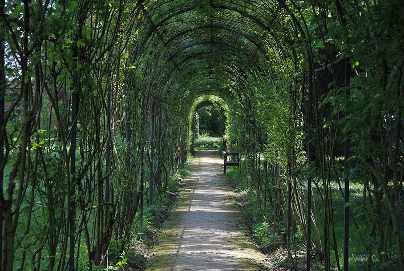 V_P_Giardino_39.jpg