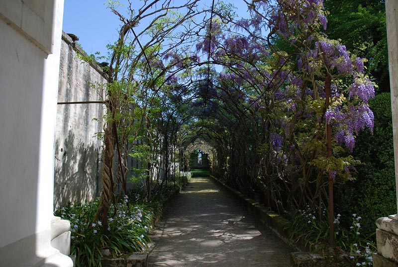 V_P_Giardino_28.jpg