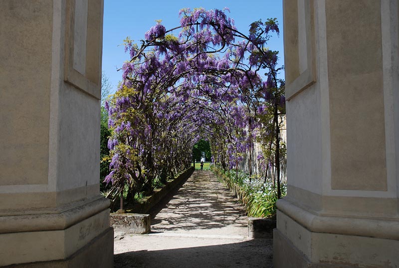 V_P_Giardino_31.jpg