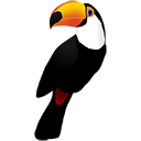 [toucan[7].png]