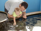 the touch pool at the aquarium