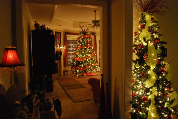 [decor_0005[4].jpg]