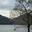 DSC05370.JPG