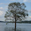 DSC05373.JPG