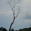 DSC05399.JPG