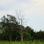 DSC05400.JPG