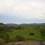 DSC05411.JPG