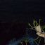 DSCN0094.JPG