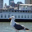 DSC05632.JPG