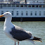 DSC05633.JPG