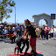 DSC05641.JPG