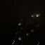 DSC05772.JPG