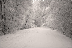 Teufelsmoor - Wintereinbruch im November