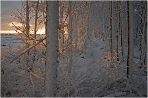 Teufelsmoor - Sonnenaufgang im November